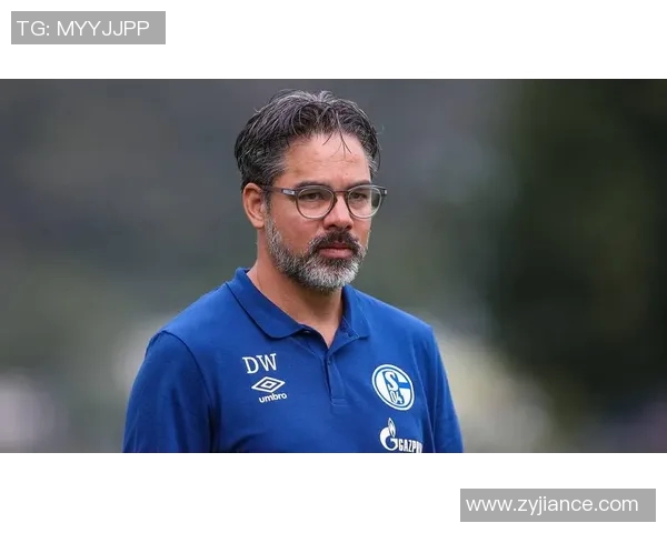 沙尔克04主场失利,主帅压力山大,面临重大考验 沙尔克04主场失利,主帅压力山大,面临重大考验